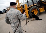 U.S. Air Force Staff Sgt. Roy Carter, 100th Security Forces Squadron Military Working Dog handler and MWD Luc find an aid during detection certification Sept. 8, 2015, on RAF Mildenhall, England. The teams goal was to find 10 detection aids. (U.S. Air Force photo by Senior Airman Christine Halan/Released)
