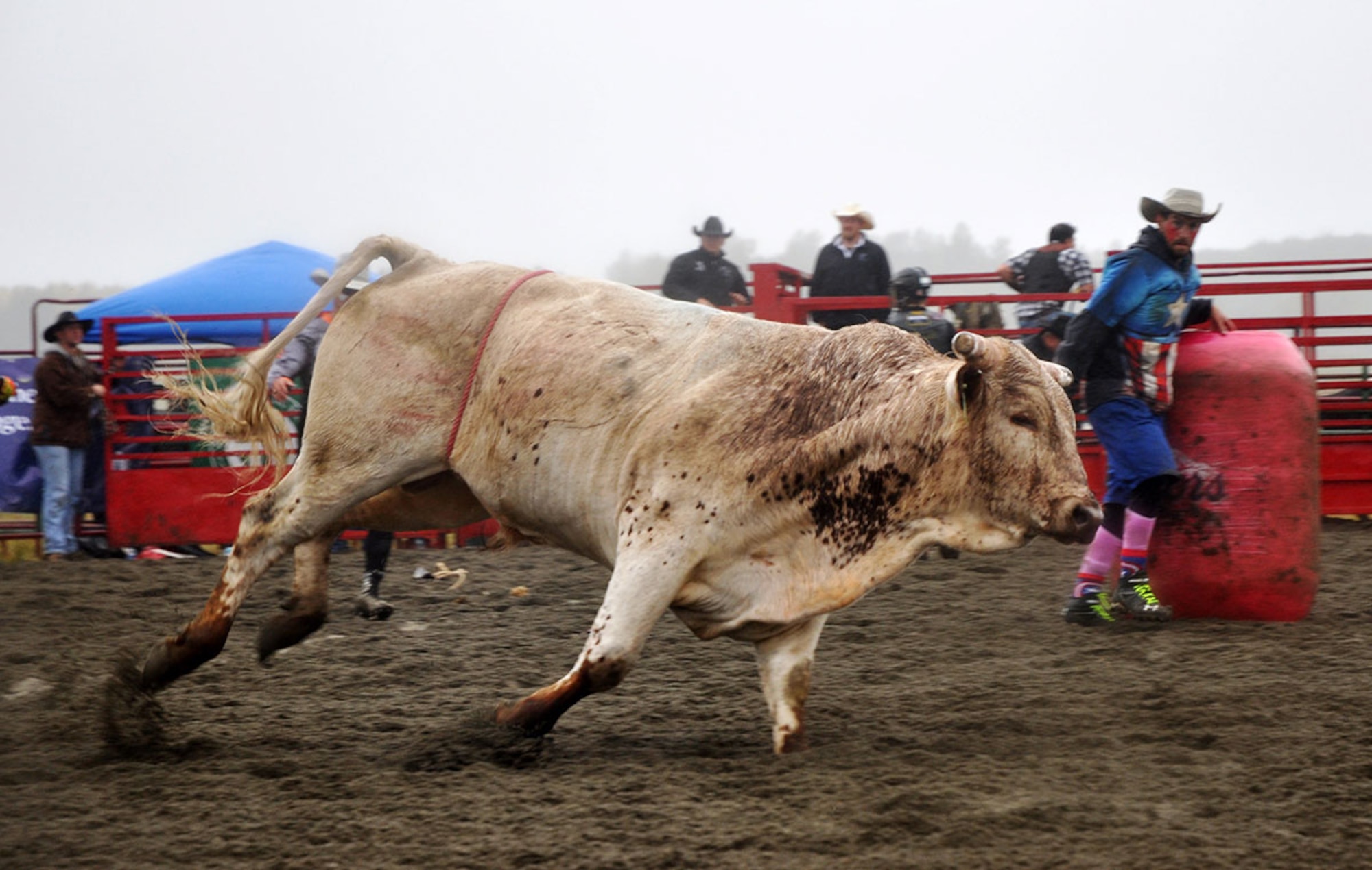 The Arctic Warrior Rodeo is held on Joint Base Elmendorf-Richardson, Alaska, Sept. 12 & 13. Service members were treated to multiple free events that included bull riding, tie-down roping, team roping, steer wrestling, saddle bronc riding, barrel racing, a petting zoo, pony rides and live country music. (U.S. Air Force photo/Maj. Angela Webb)