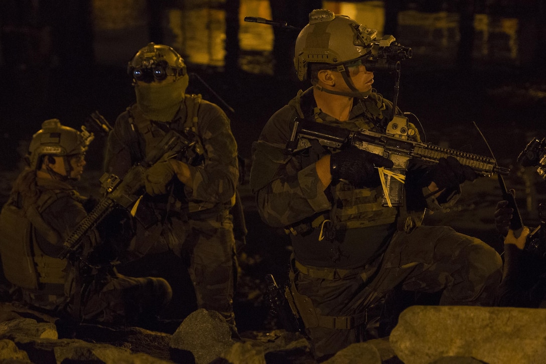 Marine Raiders with 1st Marine Raider Battalion, U.S. Marine Corps Forces, Special Operations Command, transition out of the water during a simulated underwater assault force night-raid in Los Angeles, California, Sept. 3, 2015. Training such as this is conducted to meet Special Operations Forces dive requirements and to enhance the understanding, planning and operational considerations when working in a joint operational environment with both special operations and conventional Marine Corps forces. 1st Marine Raider Battalion is organized, trained and equipped to deploy for worldwide missions as directed by MARSOC in support of their regionally-aligned Theater Special Operations Command.