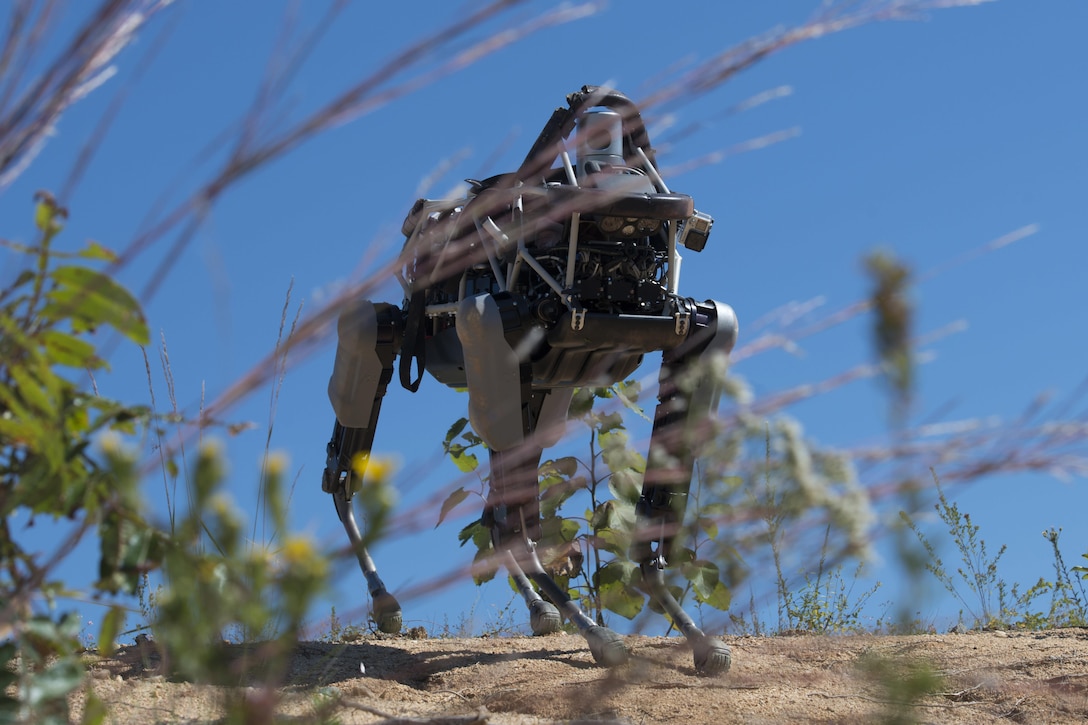 Spot, a quadruped prototype robot, walks down a hill during a demonstration on Marine Corps Base Quantico, Va.,Sept. 16, 2015. Employees of the Defense Advanced Research Projects Agency trained Marines from the Marine Corps Warfighting Lab how to operate Spot.