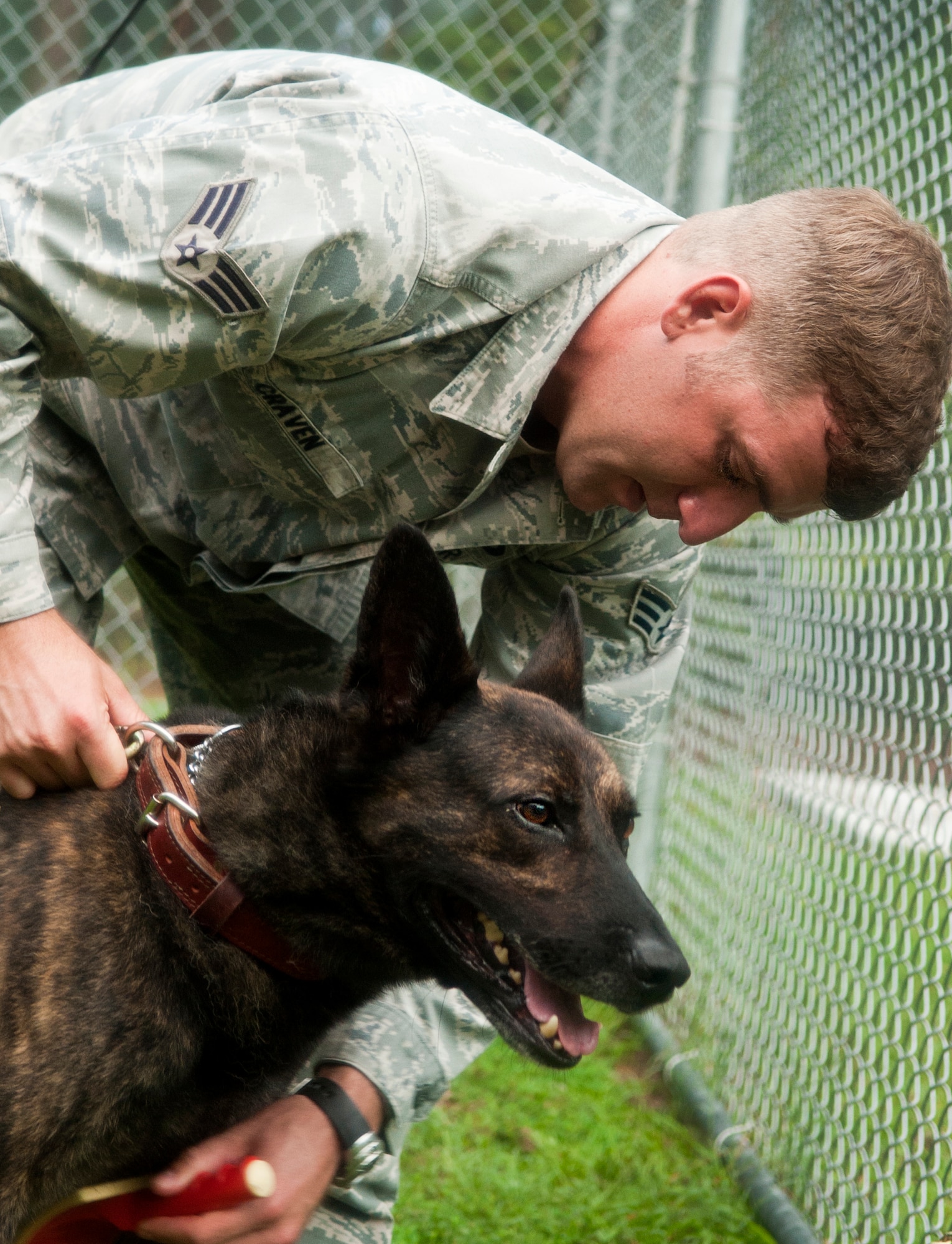 Senior Airman Austin Craven, 4th Security Forces Squadron military working dog handler, grooms MWD Ronni, Sept. 8, 2015, at Seymour Johnson Air Force Base, North Carolina. Handlers and their dogs spend countless hours together, not just training, but also performing basic tasks like brushing and washing, which strengthens the bond between the two. (U.S. Air Force photo/Airman 1st Class Shawna L. Keyes)  