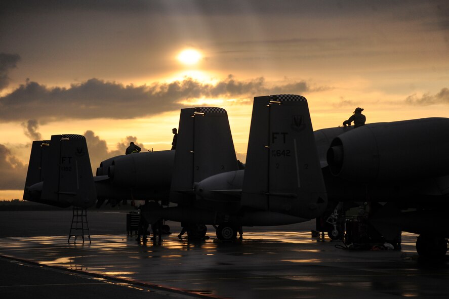 Maintenance Airmen from the 74th Expeditionary Fighter Squadron do post-flight maintenance on U.S. Air Force A-10C Thunderbolt IIs on the flightline at Amari Air Base, Estonia Sept 21, 2015. Twelve aircraft and approximately 350 Airmen and support Equipment from the 23d Wing at Moody Air Force Base, Ga., are deployed as part of a Theater Security Package in support of Operation Atlantic Resolve. (U.S. Air Force photo by Andrea Jenkins/Released)