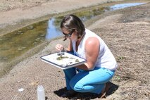 Jessica Guilianelli examines water samples two weeks after the initial construction stage of a stream restoration project at Marine Corps Air Station Cherry Point.  Guilianelli is primarily seeking early signs of biological progress in the new stream’s ecosystem, evidence that the stream restoration project is moving in the right direction.  There is still much to do on this project, particularly the planting of numerous plant species in the stream’s riparian zone, which will contribute the stream’s ability to succeed in the local environment.  Little over a month ago, this piece of ground was the site of a dysfunctional concrete culvert that did a very poor job of routing storm water runoff from an air station housing area to the Neuse River.