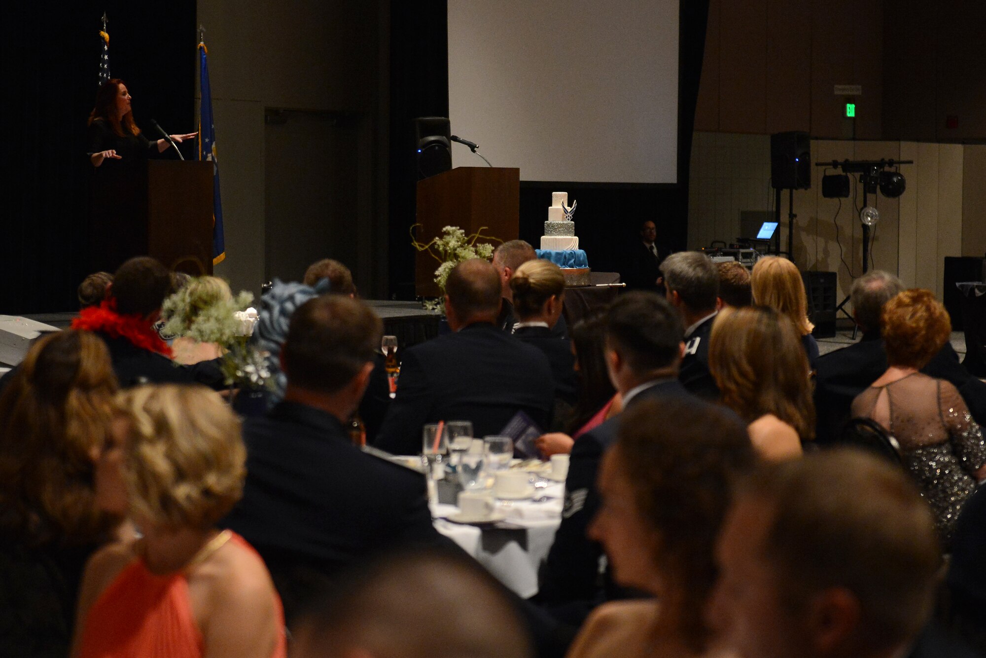 Kim Wyman, Washington secretary of state, gives a speech during the McChord Field Air Force Ball, Sept. 18, 2015, at Tacoma, Wash. Wyman spoke about the value of military service and the importance of voting. (U.S. Air Force/ Staff Sgt. Tim Chacon)
