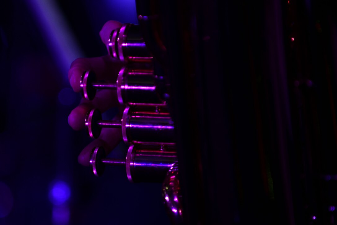 A U.S. Army Training and Doctrine Command Band tubist performs during the Constitution Day concert in Williamsburg, Va., Sept. 17, 2015. The TRADOC band, along with the U.S. Air Force Heritage of America Band, serenaded concert goers with works by American composers. (U.S. Air Force photo by Senior Airman Kimberly Nagle/Released)