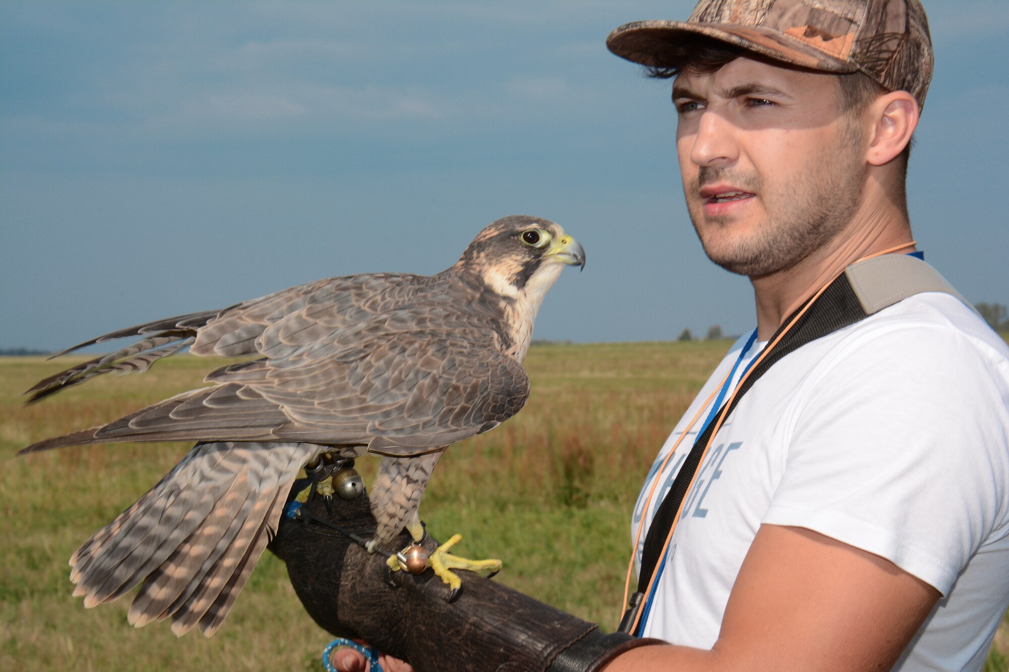 Kamil Domanski, a falconer, holds up a falcon as part of the Bird/Wildlife Aircraft Strike Hazard prevention program at Lask Air Base, Poland, Sept. 14, 2015. Domanski assists the base's BASH program to reduce any collision between wild birds and aircraft, which can result in millions of dollars in damage each year. (U.S. Air Force photo by Master Sgt. Paul Gorman/Released)