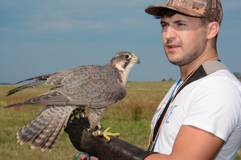 Kamil Domanski, a falconer, holds up a falcon as part of the Bird/Wildlife Aircraft Strike Hazard prevention program at Lask Air Base, Poland, Sept. 14, 2015. Domanski assists the base's BASH program to reduce any collision between wild birds and aircraft, which can result in millions of dollars in damage each year. (U.S. Air Force photo by Master Sgt. Paul Gorman/Released)