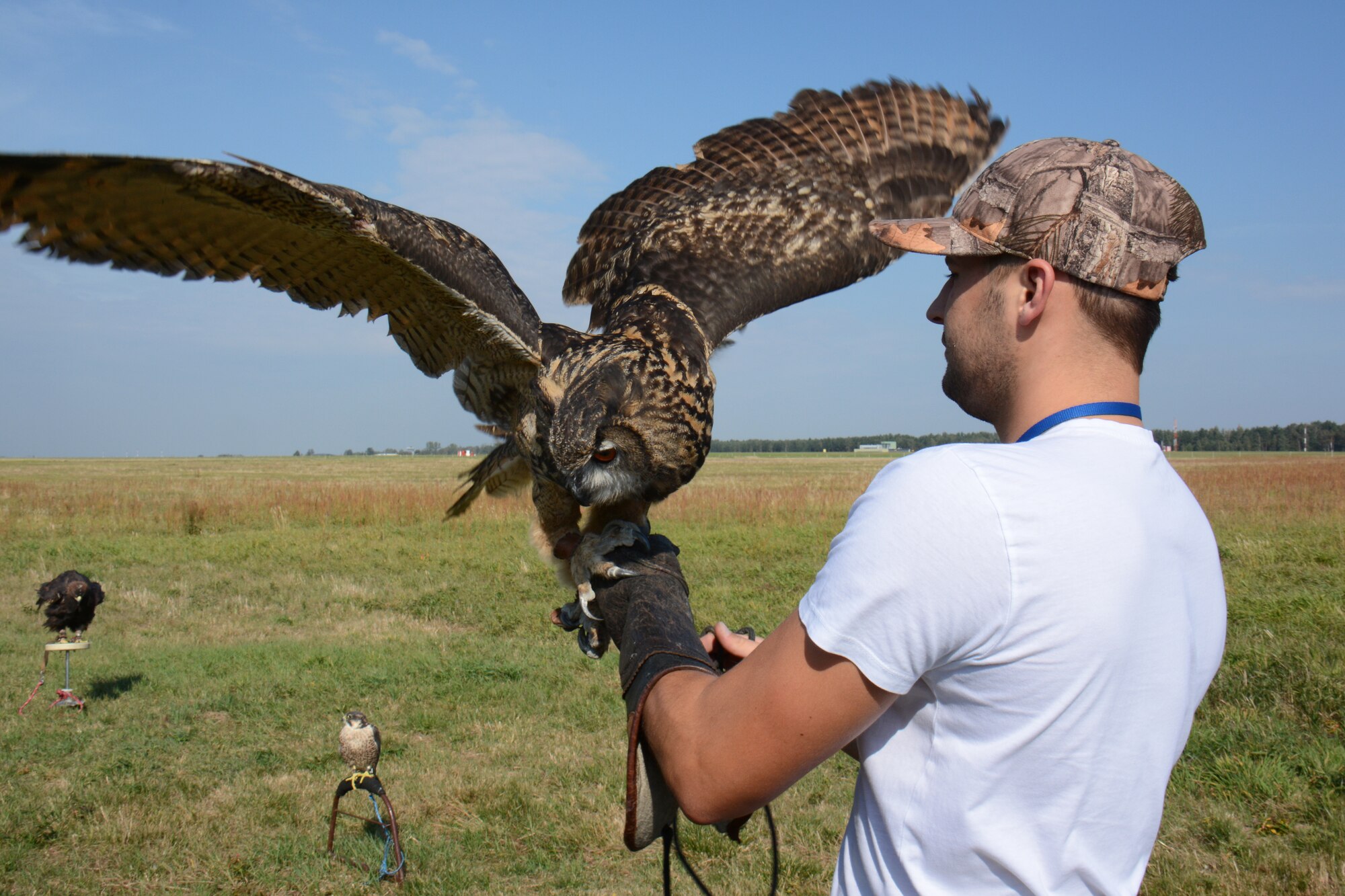 Kamil Domanski, a falconer, holds up an owl as part of the Bird/Wildlife Aircraft Strike Hazard prevention program at Lask Air Base, Poland, Sept. 14, 2015. Domanski assists the base's BASH program to reduce any collision between wild birds and aircraft, which can result in millions of dollars in damage each year. (U.S. Air Force photo by Master Sgt. Paul Gorman/Released)