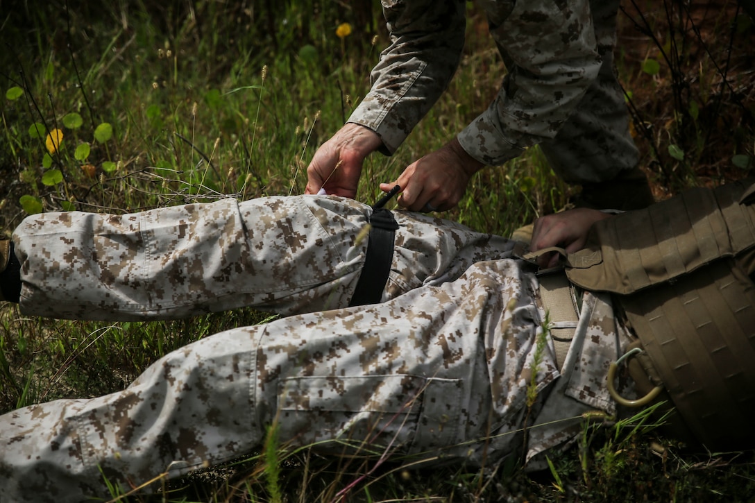 Going Green: 2nd Dental Bn. Integrates USMC Training