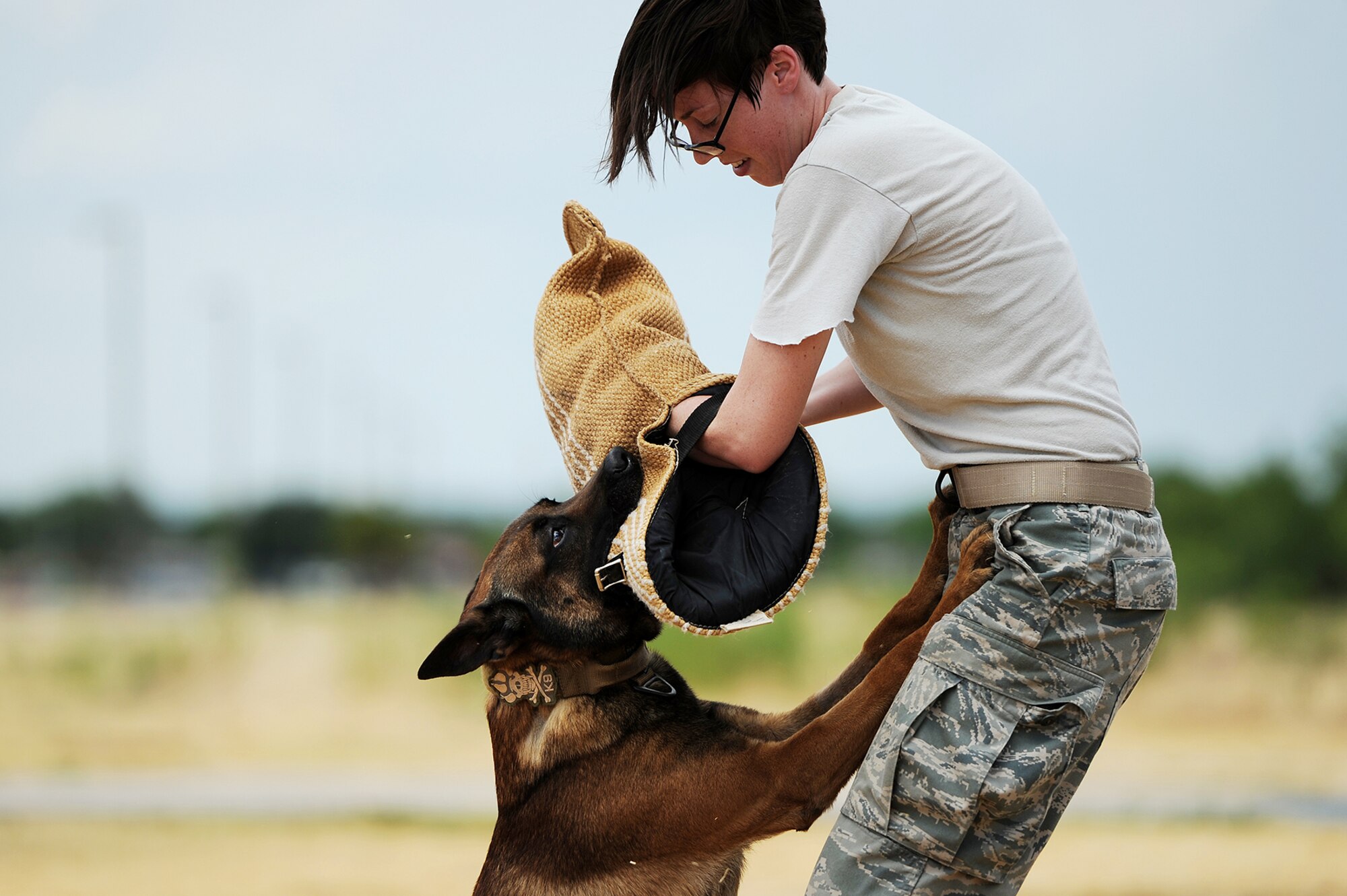 U.S. Air Force Senior Airman Catherine D. Lund, 17th Security Forces Squadron military working dog handler, conducts bite training with Spike, 17th SFS military working dog, on Goodfellow Air Force Base, Texas, Aug. 25, 2015. Like security forces personnel, MWDs must be certified in order to be employed as SF members.  (U.S. Air Force photo by Airman 1st Class Devin Boyer/Released)