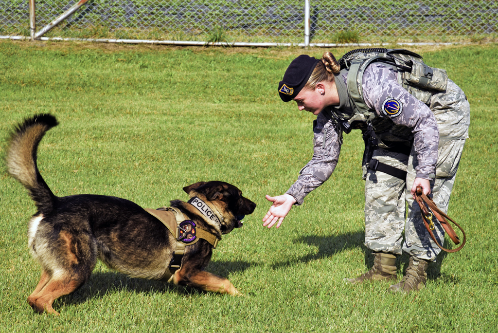 Stepping stones An Airman’s path to K9 career