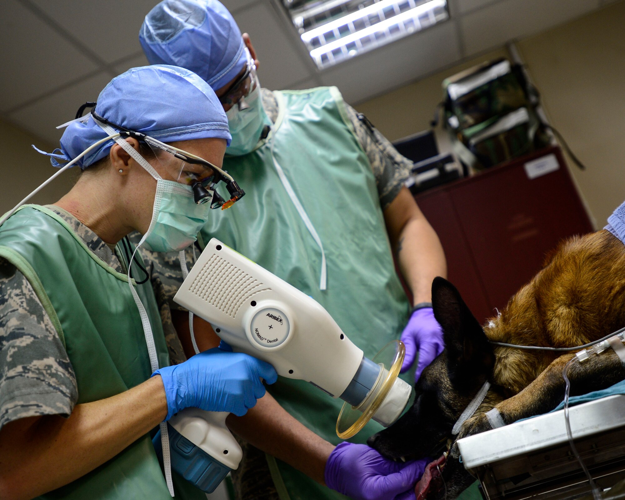 U.S. Air Force Capt. Marie Cross, 386th Expeditionary Medical Group general dentist, and Staff Sgt. Gregory Johnson, 386th Expeditionary Medical Support Squadron dental technician, take x-rays of VVladimir, 332nd Expeditionary Security Forces Squadron Military Working Dog, during a dental cleaning at an undisclosed location in Southwest Asia, Sept. 24, 2015. Dental x-rays are photographs of the teeth, bones and soft tissues around them to help detect problems with the pearly whites, mouth and jaw, to include cavities, hidden dental structures and bone loss that cannot otherwise be seen during a visual examination. (U.S. Air Force photo by Senior Airman Racheal E. Watson/Released) 