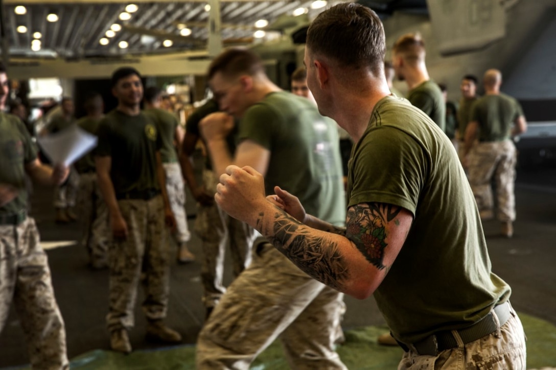 ARABIAN GULF (Sept. 18, 2015) U.S. Marines with Lima Company, Battalion Landing Team 3rd Battalion, 1st Marine Regiment, 15th Marine Expeditionary Unit, throw punches during a Marine Corps Martial Arts Program course in the hangar bay of the amphibious assault ship USS Essex (LHD 2). MCMAP teaches Marines hand-to-hand skills that might help in a combat situation. The 15th MEU, embarked aboard the ships of te Essex Amphibious Ready Group, deployed to maintain regional security in the U.S. 5th Fleet area of operations. (U.S. Marine Corps photo by Cpl. Elize McKelvey/Released)