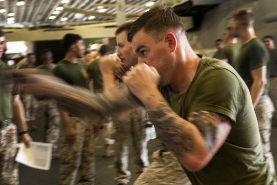 ARABIAN GULF (Sept. 18, 2015) U.S. Marines with Lima Company, Battalion Landing Team 3rd Battalion, 1st Marine Regiment, 15th Marine Expeditionary Unit, throw punches during a Marine Corps Martial Arts Program course in the hangar bay of the amphibious assault ship USS Essex (LHD 2). MCMAP teaches Marines hand-to-hand skills that might help in a combat situation. The 15th MEU, embarked aboard the ships of the Essex Amphibious Ready Group, is deployed to maintain regional security in the U.S. 5th Fleet area of operations. (U.S. Marine Corps photo by Cpl. Elize McKelvey/Released)