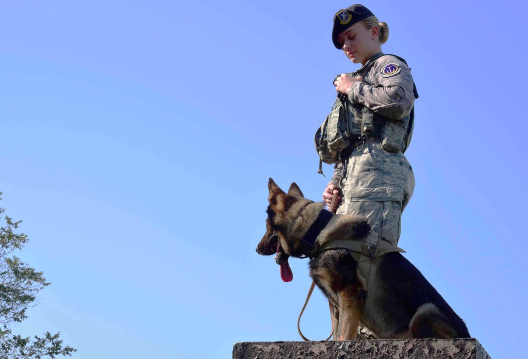 U.S. Air Force Senior Airman Alyssa Stamps, 35th Security Forces Squadron military working dog handler, poses with her dog, Elvis, at Misawa Air Base, Japan, Sept. 23, 2015. After growing up among first responders, Stamps set her own goal to become an MWD handler in the military. (U.S. Air Force photo by Airman 1st Class Jordyn Fetter/Released)
