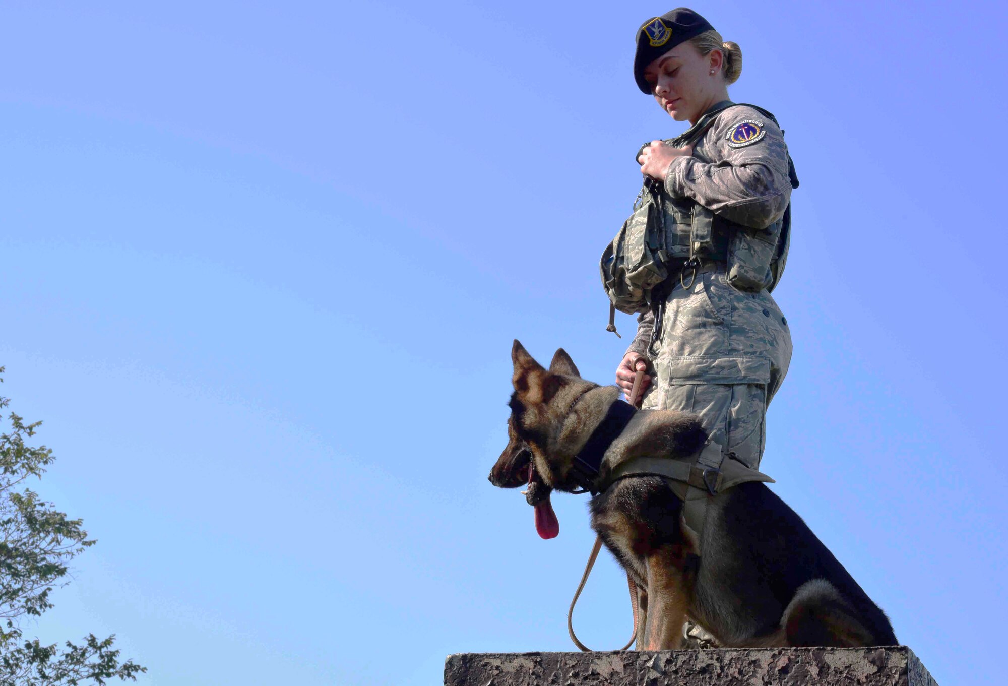 U.S. Air Force Senior Airman Alyssa Stamps, 35th Security Forces Squadron military working dog handler, poses with her dog, Elvis, at Misawa Air Base, Japan, Sept. 23, 2015. After growing up among first responders, Stamps set her own goal to become an MWD handler in the military. (U.S. Air Force photo by Airman 1st Class Jordyn Fetter/Released)
