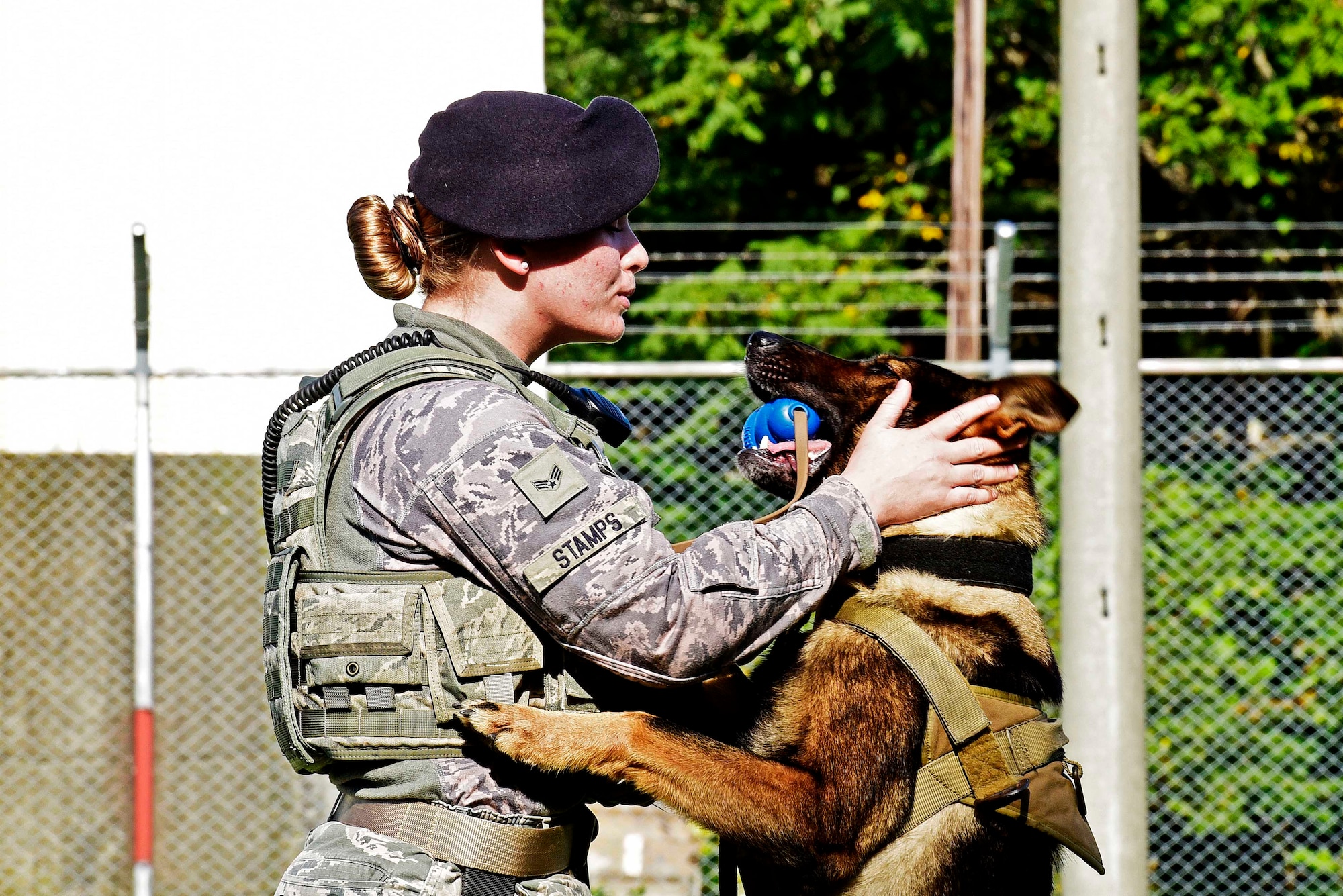 U.S. Air Force Senior Airman Alyssa Stamps, 35th Security Forces Squadron military working dog handler, plays with her dog, Elvis, at Misawa Air Base, Japan, Sept. 23, 2015. Stamps and Elvis are training to become a certified MWD team to partake in real-world scenarios. (U.S. Air Force photo by Airman 1st Class Jordyn Fetter/Released)