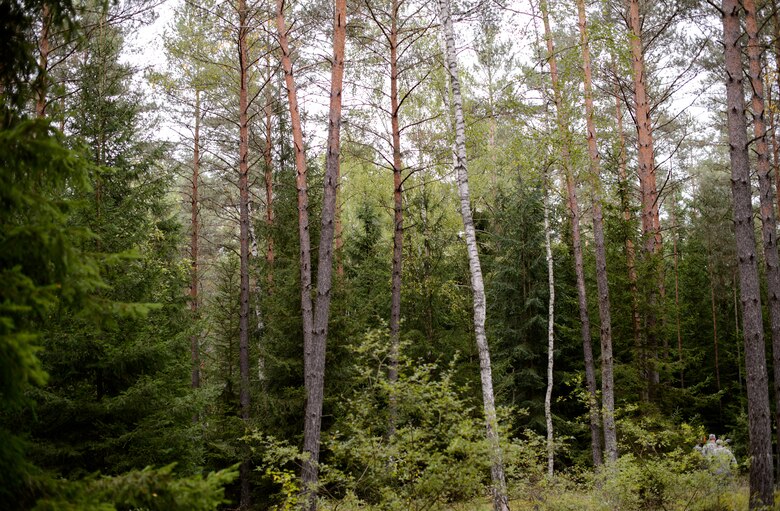 Airmen from the 7th Weather Squadron navigate the woods in order to find specific points during Cadre Focus Sept. 16, 2015, at Grafenwohr Training Area, Germany. More than 30 Airmen participated in Cadre Focus, an annual exercise designed to develop skills needed by battle field weather Airmen. (U.S. Air Force photo/Staff Sgt. Armando A. Schwier-Morales)