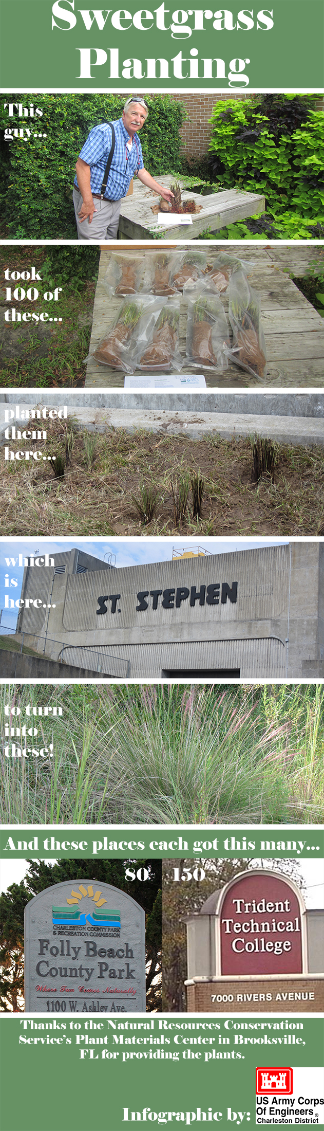 Sweetgrass Planting > Charleston District > Charleston District News