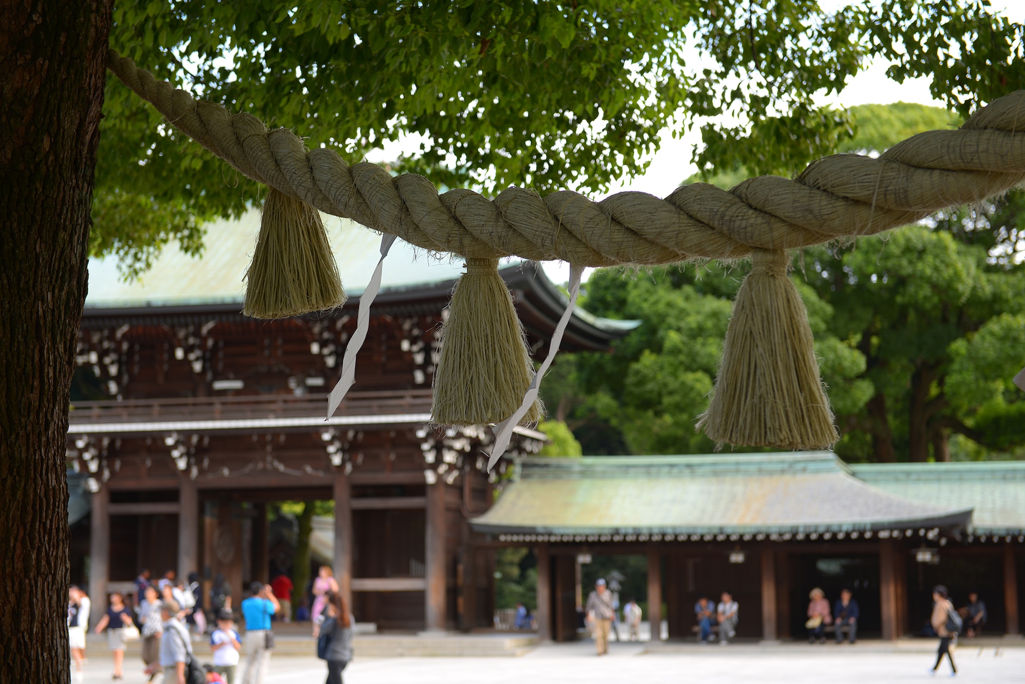 A shimenawa, or straw rope with bangles and white zigzag paper strips, hangs between two trees within Meiji Shrine in Tokyo, Japan, Sept. 14, 2015. In the Shinto religion, Shimenawa are indicators that something is sacred. (U.S. Air Force photo by Airman 1st Class Elizabeth Baker/Released)) 