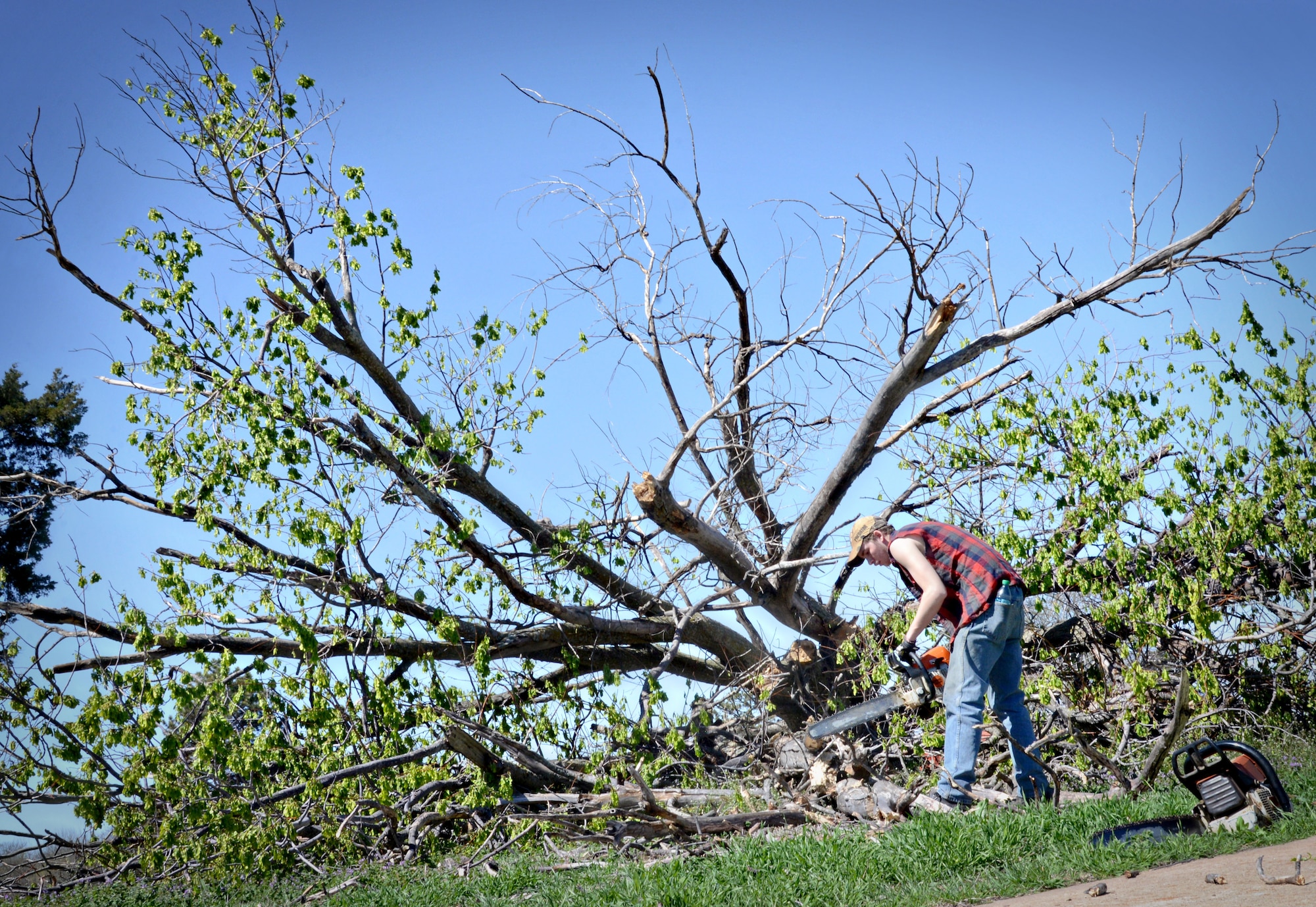 Kile Murphy, with Trace, uses a chainsaw to cut branches into smaller pieces off of a large non-native tree in the area around Crutcho Creek, south of Arnold Avenue and extending down Mitchell Avenue. The area is currently being scoured of all non-native plants and trees and will soon be a future conservation area, which will save the government approximately $25,000 a year by not having grounds services maintain the area. (Air Force photo by Kelly White/Released)

