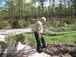 Paul Catlett, the environmental program manager at Camp Blanding, Fla., inspects portions of a project at the installation to restore 500 acres of land unable to support plant growth as a result of mining operations in the 1950s. The restored land not only now supports plant and animal life, but netted the Florida Army National Guard top honors in the annual Secretary of the Army Environmental Awards program.
