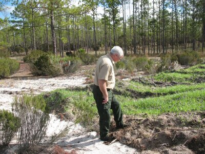 Paul Catlett, the environmental program manager at Camp Blanding, Fla., inspects portions of a project at the installation to restore 500 acres of land unable to support plant growth as a result of mining operations in the 1950s. The restored land not only now supports plant and animal life, but netted the Florida Army National Guard top honors in the annual Secretary of the Army Environmental Awards program.