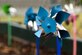 Pinwheels were planted at the Child Development Center by children of Team Seymour during a “Pinwheels for Child Abuse Prevention” event, April 1, 2016, at Seymour Johnson Air Force Base, North Carolina. Along with the pinwheels planted at the CDC more than 300 pinwheels were planted in the base’s pinwheel garden located by the main gate in support of child abuse prevention. (U.S. Air Force photo/Airman Shawna L. Keyes)