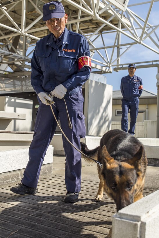 Police Lt. Muneyuki Hirao, a police dog trainer at Hiroshima Prefectural Police Headquarters, and his K-9 search for explosives during joint training with Marines from the Provost Marshal’s Office at Marine Corps Air Station Iwakuni, Japan, March 22, 2016. Trained in a variety of areas such as locating explosives and narcotics and conducting patrols, handlers and their military working dogs train regularly in order to maintain operational readiness, become a more effective team and ensure the safety of the station residents. Sgt. Adrian Nanez, PMO kennel master with Headquarters and Headquarters,  placed explosives in hidden locations while the duo waited out of site, resulting in a more cautious and thorough search, increasing the overall training effectiveness. (U.S. Marine Corps photo by Lance Cpl. Aaron Henson/Released)