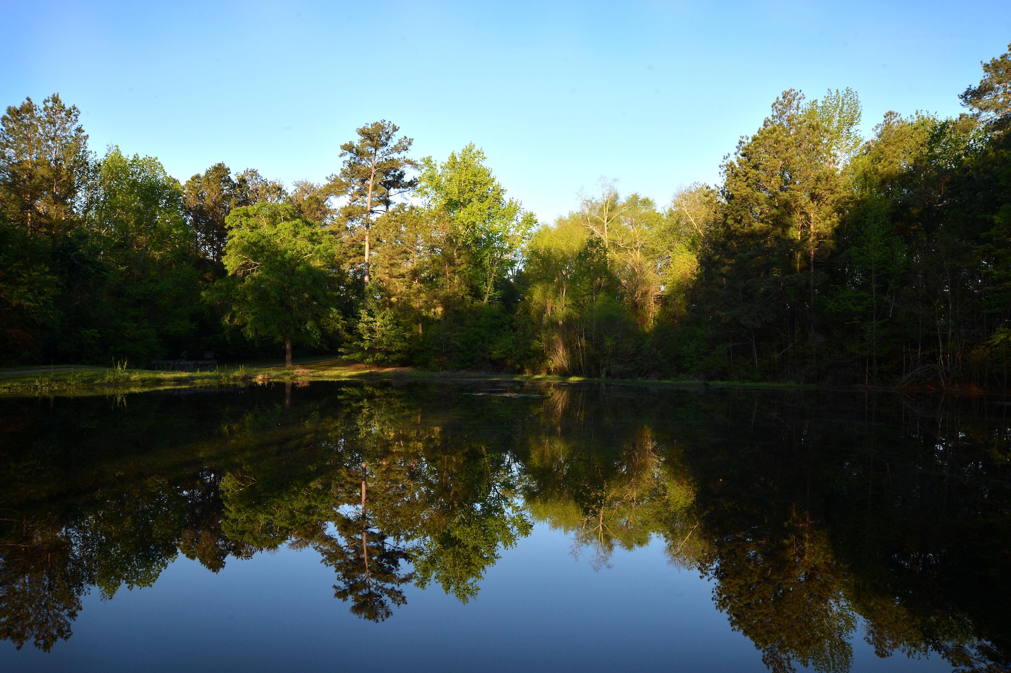 Stagnant water is a common place for mosquitos to breed. There are more than 50 different species of mosquitoes found in South Carolina capable of transmitting diseases such as West Nile Virus, Eastern Equine Encephalitis, Malaria, and the Zika virus. (U.S. Air Force photo by Senior Airman Michael Cossaboom) 