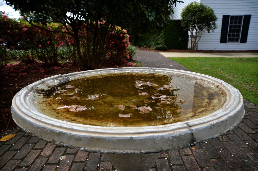 Water build up in bird baths can be a good breeding ground for mosquitos. Mosquitoes have four life stages - eggs, larvae, pupae, adults. Since the first three of the stages are found in water, eliminating water sources that can breed mosquitoes eliminates the chances of mosquitoes biting, and transmitting diseases. (U.S. Air Force photo by Senior Airman Michael Cossaboom)