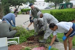 Members from the 12th Flying Training Wing and the 502nd Security Forces Logistic Support Group do garden work at the Taj, April 8, 2015 during Joint Base San Antonio Pride Week at JBSA-Randolph.  Team JBSA will join forces with other JBSA mission partners to improve the appearance of our installation. (U.S. Air Force photo by Joel Martinez/Released)