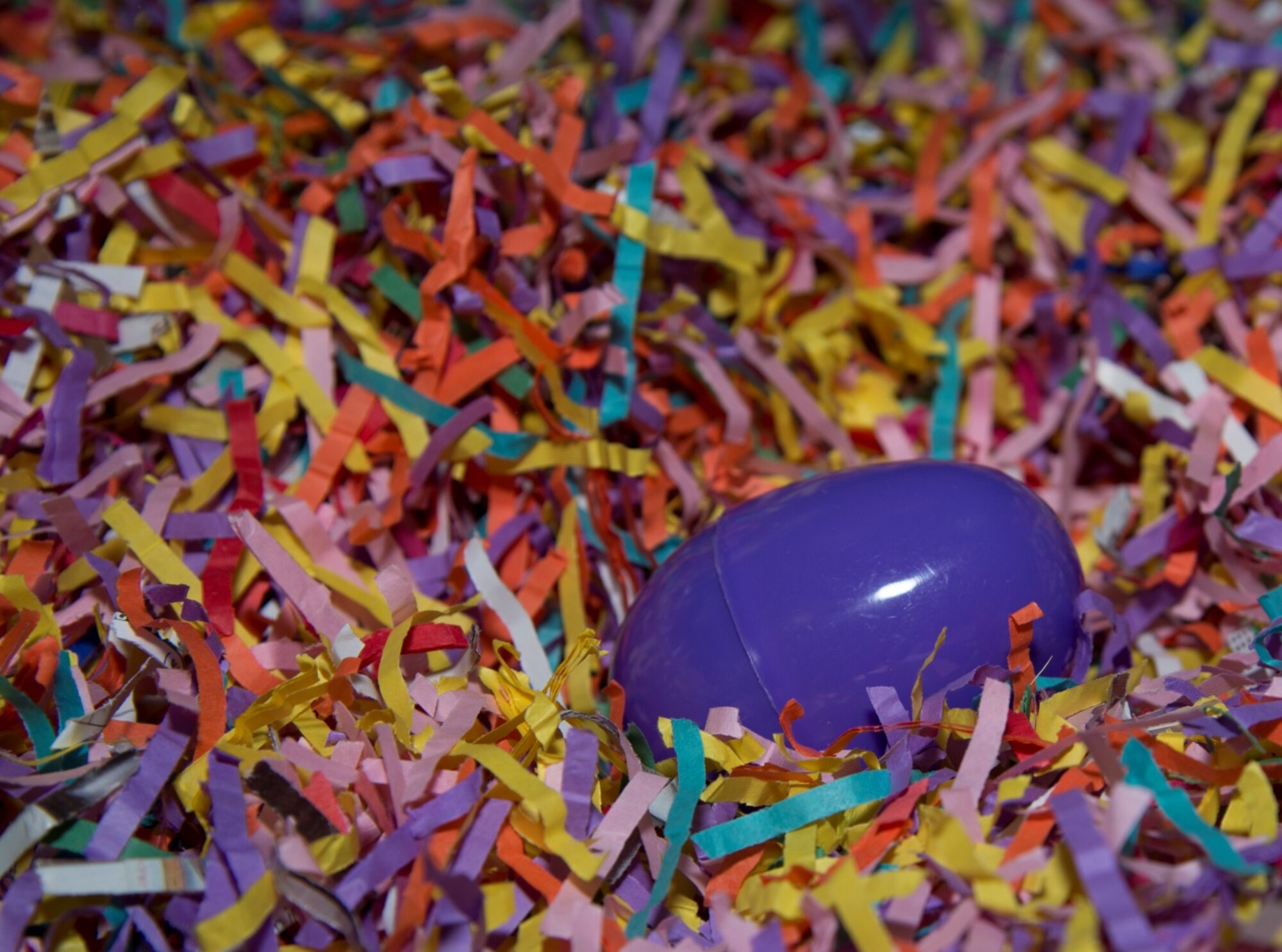 An egg sits in the Easter grass waiting to be found by a Minot Youth Center member during the Easter Eggstravaganza at Minot Air Force Base, N.D., March 25, 2016. At the event, kids could hunt for the golden egg, play different Easter themed games and take a stroll through Candyland. (U.S. Air Force photo/Airman 1st Class Christian Sullivan)