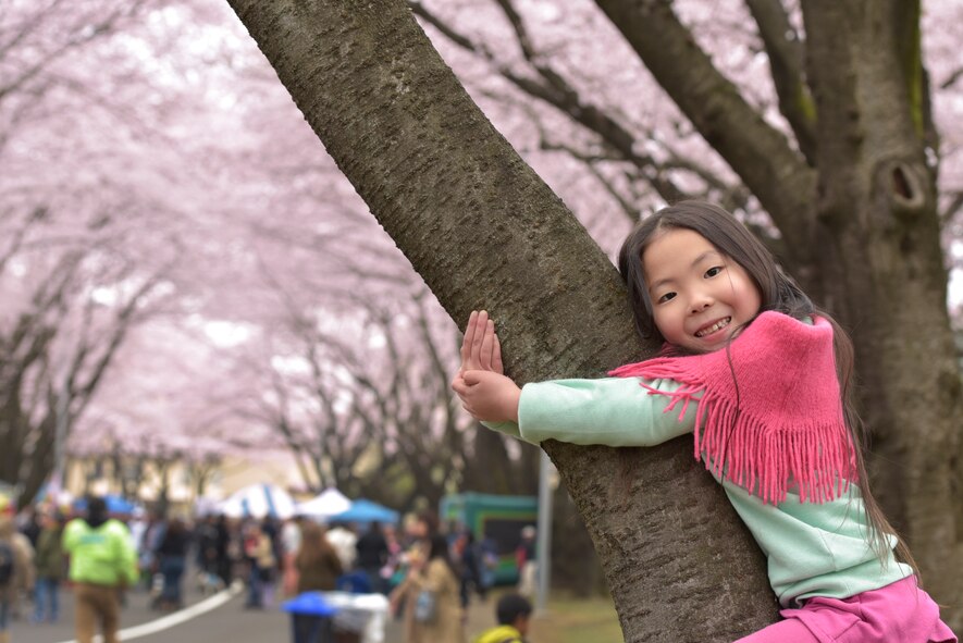 Maria Kizaki, 5, poses for a portrait under a cherry blossom tree at Yokota Air Base, Japan, April 2, 2016, during the Sakura Spring Festival. Approximately 5,000 visitors attended the event to celebrate the coming of spring. (U.S. Air Force photo by Machiko Imai/Released)