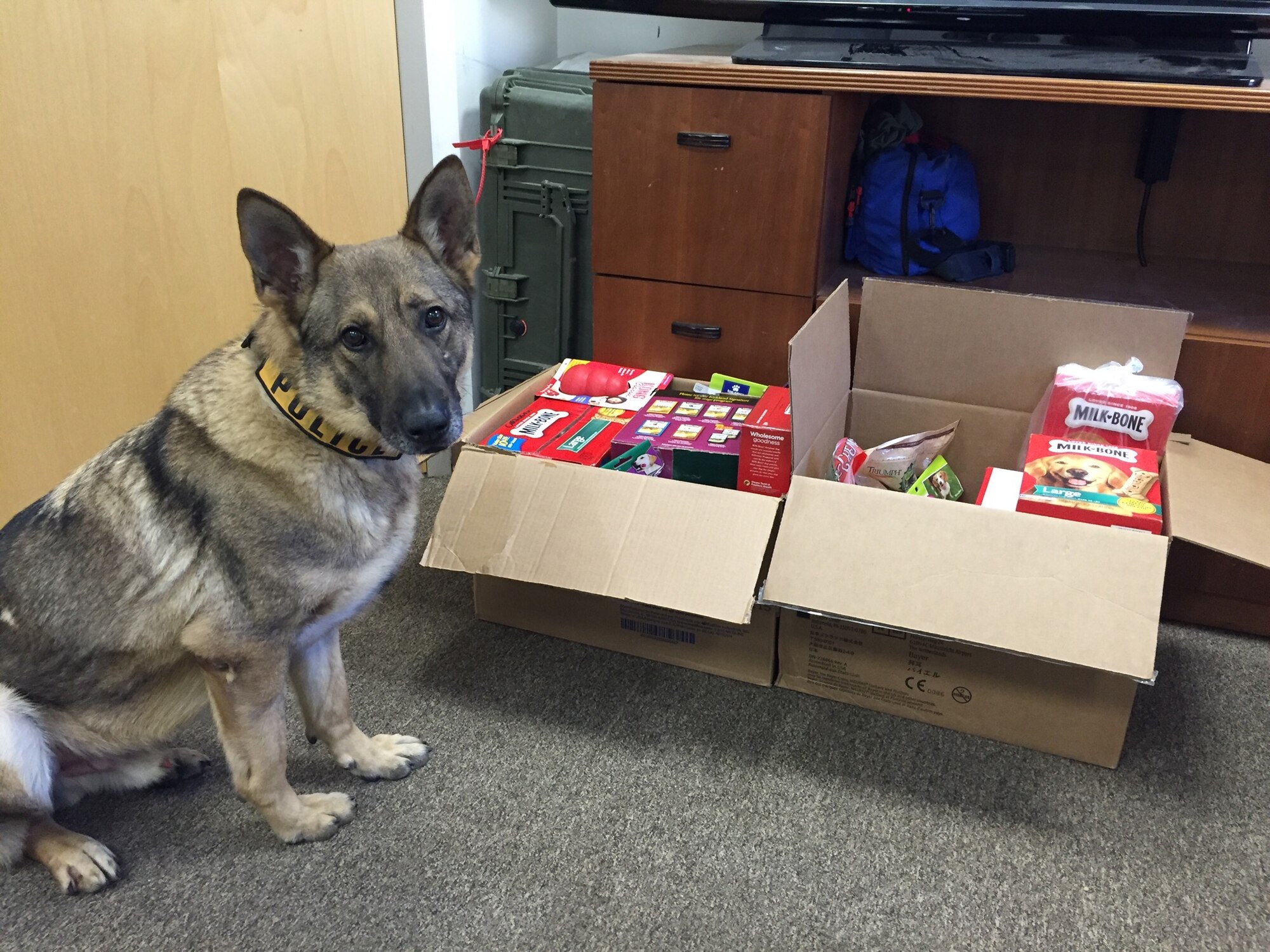 Military working dogs guard and protect military personnel with courage, loyalty and honor. The Diagnostic Imaging Flight, at the 779th Medical Group, sponsored a fundraiser to gather treats and toys for the military working dogs at Joint Base Andrews. MWD X poses for collected treats. (photo by Airman 1st Class Ayla Ballard)

