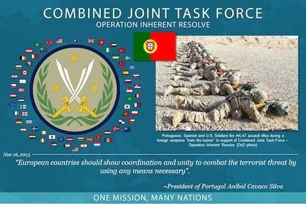 A Coalition of more than 60 international partners has united to assist and support the Iraqi Security Forces to degrade and defeat Daesh. This unity between coalition partners has contributed to Iraq’s significant progress in halting Daesh's momentum and in some places reversing it.