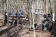 U.S. Army Pvt. 1st Class Daquan Hayes (right) and Spc. Deontre Austin (left) of the Headquarters and Headquarters Detachement, 53rd Transportation Battalion Movement Control, return fire behind cover as they try and move in and retrieve sensitive items from a disabled truck at Virginia Beach, Va., March 24th 2016. The Soldiers of HHD were given three intense scenarios that tested battle drills react to contact, react to ambush and squad-based tactical movements. (U.S. Army photo by Sergeant First Class Michelle Michelson) 