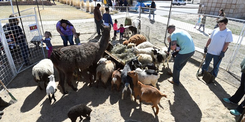 Schriever families pet goats, sheep, ponies and llamas during the Spring Fling event at the fitness center at Schriever Air Force Base, Colorado, Saturday, April 2, 2016. More than 1,500 people attended the annual event. (U.S. Air Force photo/Staff Sgt. Debbie Lockhart)