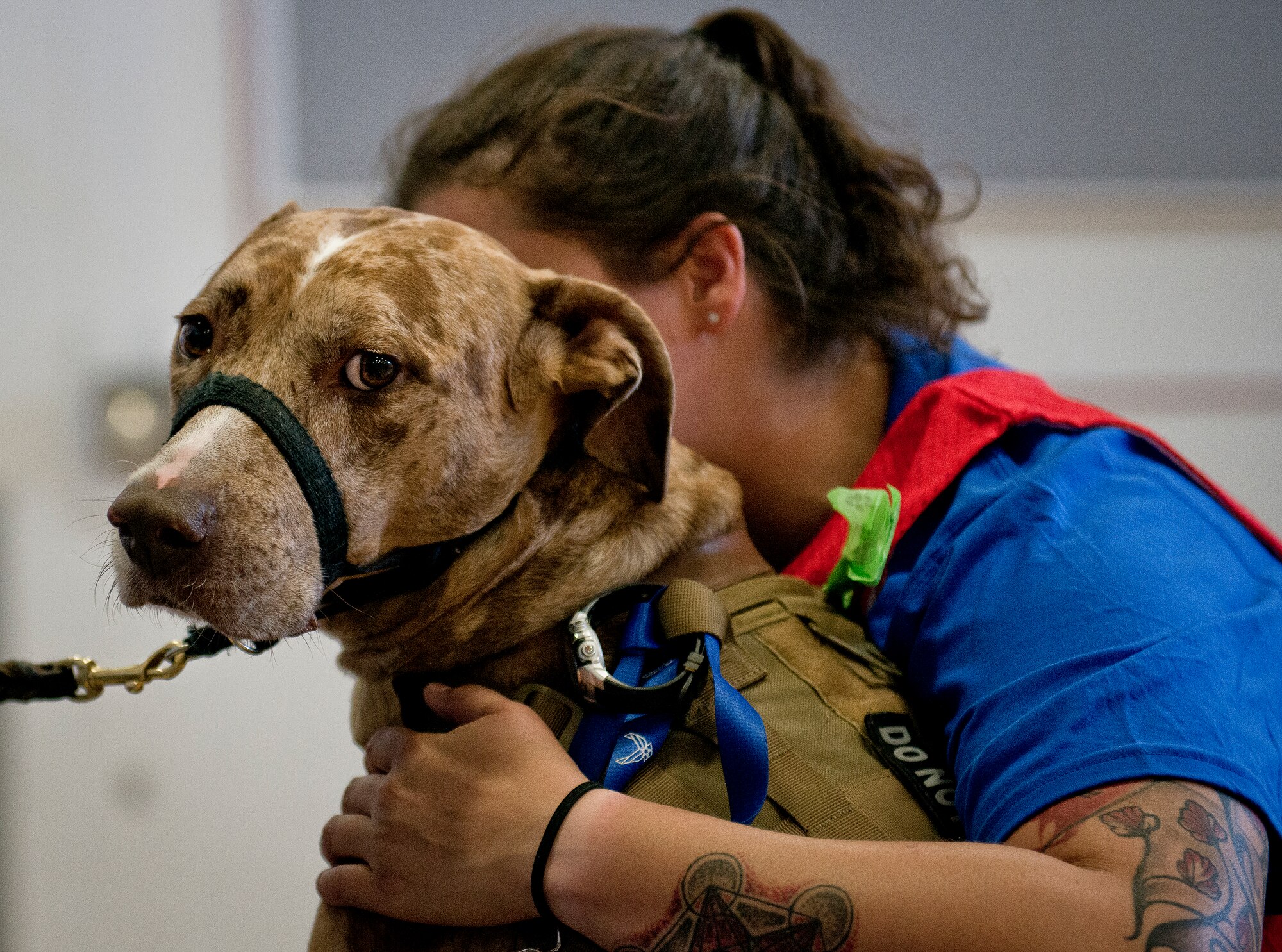 Valhalla, a service dog, protects his owner, Hanna Stulberg, a Warrior Care athlete, during the adaptive sports camp at Eglin Air Force Base, Fla., April 5.  The base hosts the week-long Wound Warrior Care event that helps recovering wounded, ill and injured military members through specific hand-on rehabilitative training.  (U.S. Air Force photo/Samuel King Jr.)