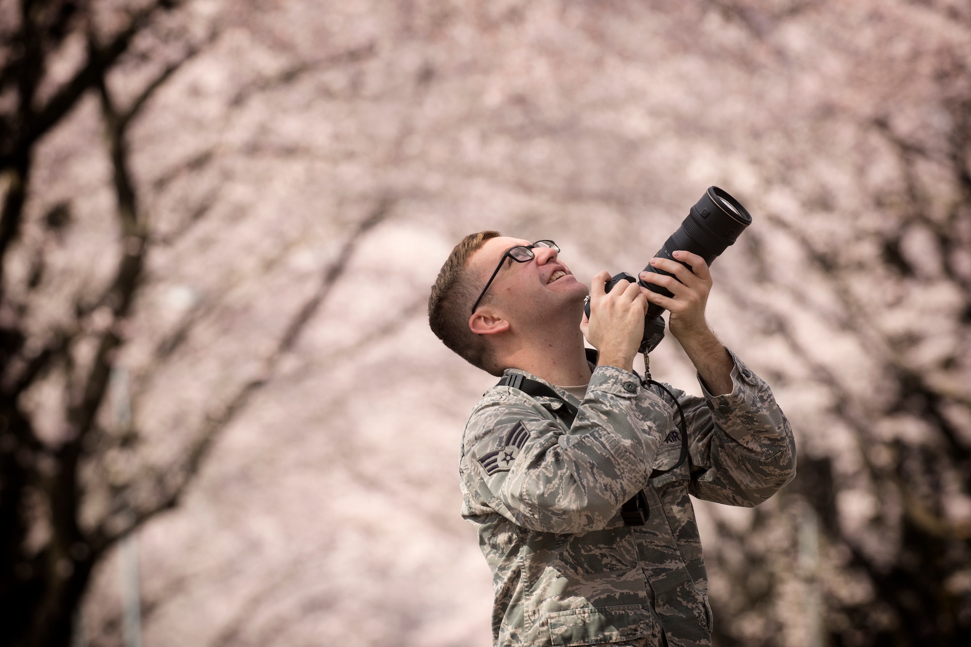 Senior Airman David Owsianka, 374th Airlift Wing Public Affairs photojournalist, documents cherry blossoms along McGuire Avenue at Yokota Air Base, Japan, April 6, 2016. According to the Japan Meteorological Agency, the Sakura trees reached full bloom three days earlier than the previous year. (U.S. Air Force photo by Yasuo Osakabe/Released)  
