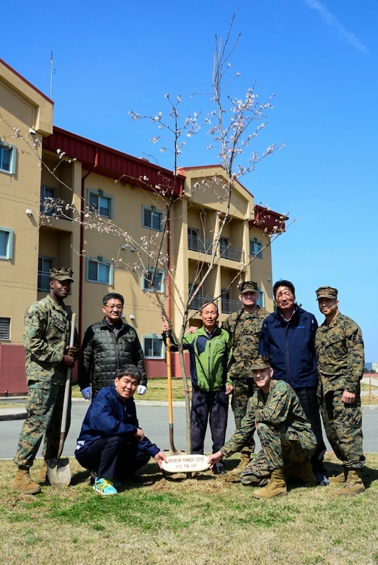 Lt. Col. Patrick S. Flanery and a Camp Mujuk Marine present a commemorative rock to the Mayor of Ocheon-eup and other community leaders April 5 aboard Camp Mujuk, Ocheon-eup, Republic of Korea. Twenty Camp Mujuk Marines and local community leaders planted 40 trees throughout the camp. Flanery, commanding officer of Camp Mujuk, and the Ocheon Community leaders planted the "Ocheon Family Tree" symbolizing the strong and growing bond with the surrounding Ocheon community. This bond is crucial to Camp Mujuk’s role providing the Marine Corps with a foreword-based platform for training as well as a staging area for Marines to respond to contingency and humanitarian aid missions in the Indo-Asia-Pacific region.