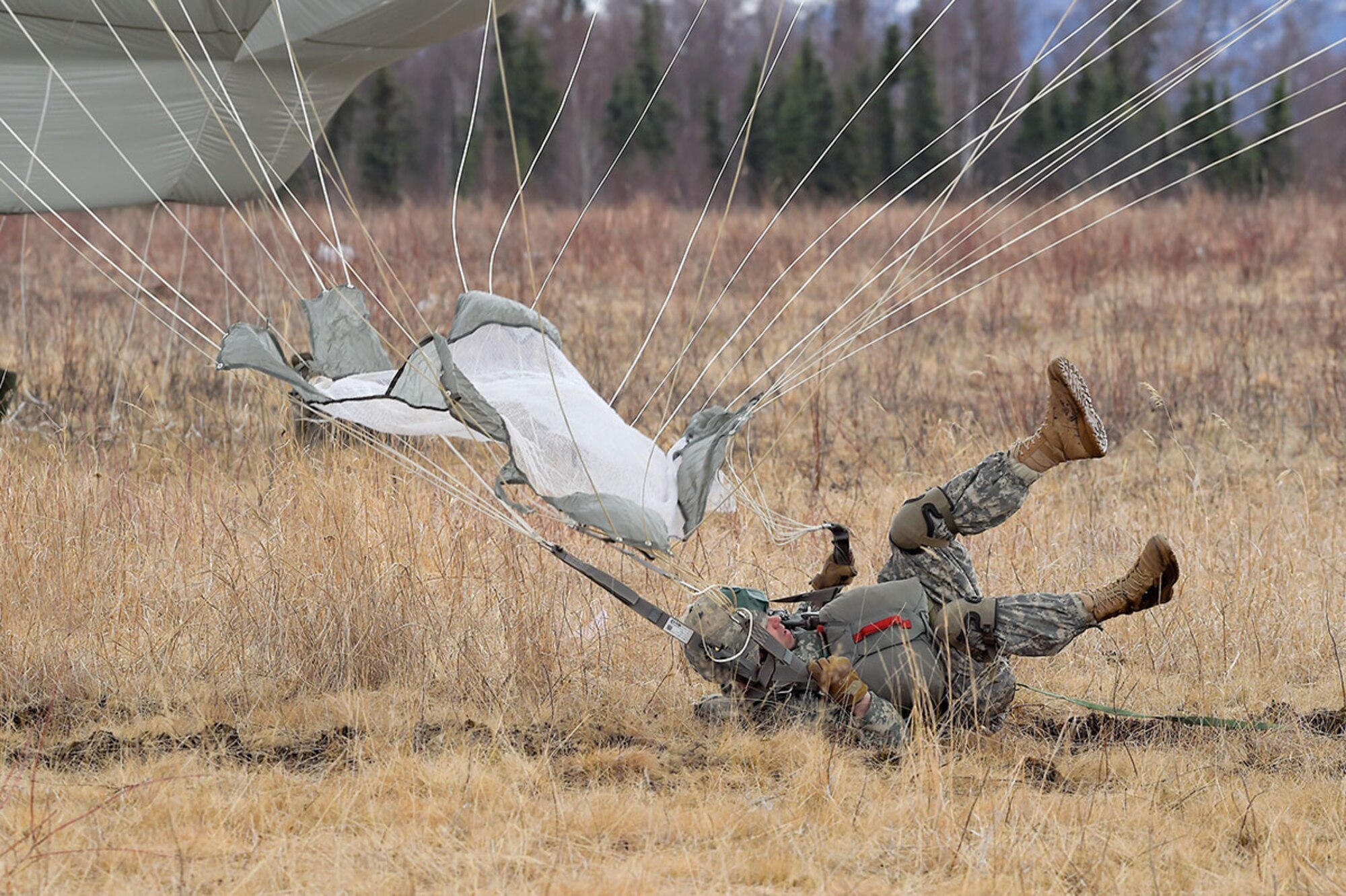 A paratrooper assigned to the 4th Brigade Combat Team (Airborne), 25th Infantry Division, U.S. Army Alaska, lands after jumping from a U.S. Air Force C-17 Globemaster III during a practice forced-entry parachute assault on Malemute drop zone at Joint Base Elmendorf-Richardson, Alaska, April 5, 2016. Having just successfully completed a rigorous evaluation at the Joint Readiness Training Center, the 4th Brigade Combat Team (Airborne), 25th Infantry Division is currently the most highly trained brigade combat team in the U.S. Army and is prepared to deploy globally at a moment's notice to execute combat, humanitarian assistance and/or disaster relief operations. (U.S. Air Force photo/Alejandro Pena)