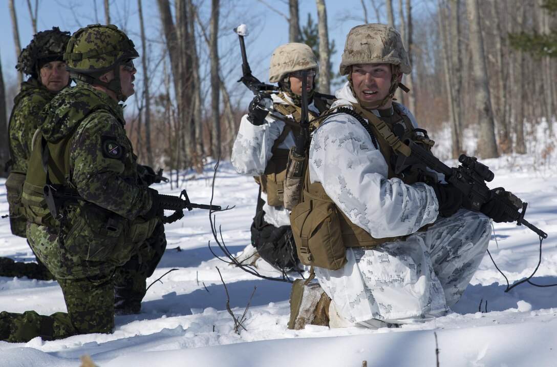 Sgt. Farris A. Rison (right), a machine gun section leader with Weapons Platoon, Company I, 3rd Battalion, 25th Marine Regiment, 4th Marine Division, Marine Forces Reserve, issues orders to his Marines and an attachment of soldiers from the Danish Home Guard while conducting dry-fire practice at the infantry squad battle course during exercise Arctic Eagle at Camp Grayling, Mich., April 5, 2016. The Marines joined soldiers with the U.S. Army National Guard and the Danish Home Guard in the bilateral exercise, designed to simulate a joint task force defending key infrastructure in the arctic region. (U.S. Marine Corps photo by Cpl. Ian Leones/Released)