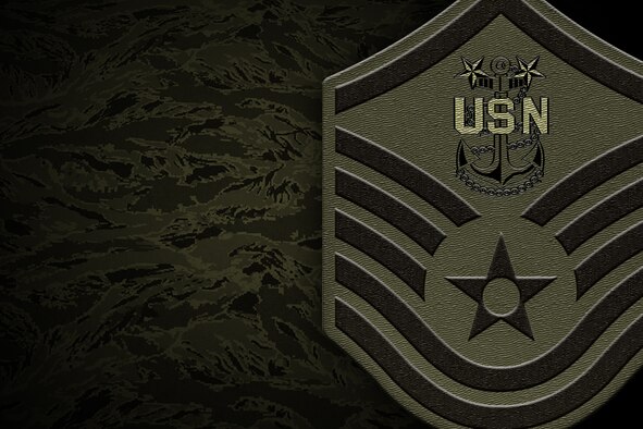 The Navy Center for Information Dominance Detachment on Goodfellow Air Force Base invited Air Force senior NCOs to participate in CPO 365, a year-round training initiative that Chief’s Messes throughout the Navy take on to prepare first class petty officers to become chiefs. (U.S. Air Force graphic by Senior Airman Devin Boyer/Released)