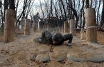 A South Korean military cadet crawls through a decline barbwire obstacle March 23 during training with Soldiers from the 1st Armored Brigade Combat Team, 1st Cavalry Division, at Camp Hovey. South Korean military cadets trained with Soldiers from the 1st ABCT before leaving to compete at the Sandhurst Military Skills Competition at the U.S. Military Academy at West Point, New York.  (U.S. Army photo by Sgt. Fred Brown, 1st Armored Brigade Combat Team Public Affairs, 1st Cav. Div.)