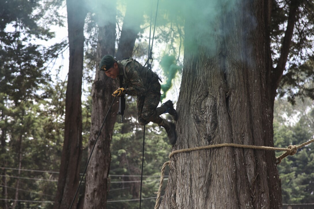 Guatemala Soldier of the Guatemalan Mountain Brigade repel down the tree at the Beyond The Horizon Opening Ceremony in San Marcos, Guatemala on April 7, 2016 as a part of Beyond The Horizon 2016 Guatemala. Task Force Red Wolf and Army South conducts Humanitarian Civil Assistance Training to include tactical level construction projects and Medical Readiness Training Exercises providing medical access and building schools in Guatemala with the Guatemalan Government and non-government agencies from 05MAR16 to 18JUN16 in order to improve the mission readiness of US Forces and to provide a lasting benefit to the people of Guatemala. (U.S. Army photo by Sgt. Ronquel Robinson/Released)