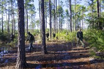 A group of 709th Airlift Squadron reservists navigate their way through the marsh, April 2, 2016, at Naval Air Station Pensacola, Fla., during their evasion portion of training. Reservists from Dover Air Force Base, Del., in the 512th Airlift Wing, conducted an off-station training exercise at Naval Air Station Pensacola, Fla., March 29 to April 3 to ensure they are current in all their deployment requirements. (U.S. Air Force photo/Capt. Bernie Kale)