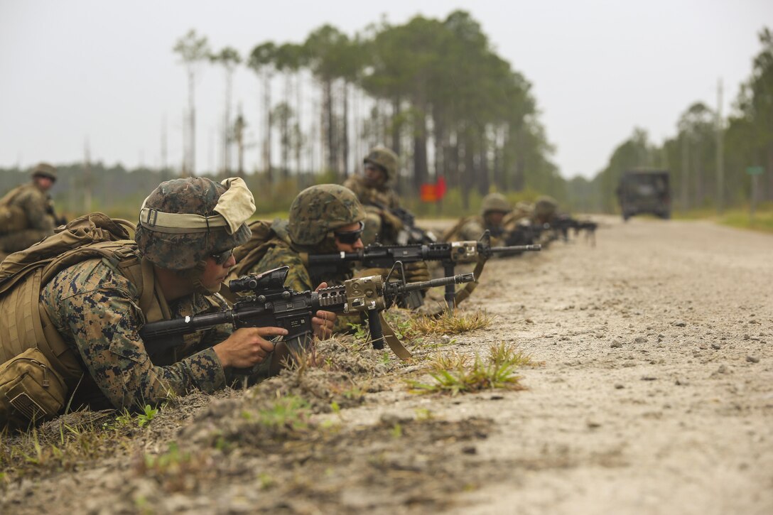 Marines with 2nd Battalion, 8th Marine Regiment provide security before crossing a road during a platoon attack training event at Camp Lejeune, N.C., April 12, 2016. The training allowed the unit to make tactical decisions that successfully destroyed notional enemy targets.