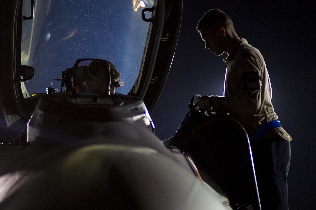 Airman 1st Class Jon Wanser assists an F-22 Raptor pilot before takeoff at Tyndall Air Force Base, Fla., April 11, 2016. Wanser is a  crew chief assigned to the 95th Aircraft Maintenance Unit. Air Force photo by Senior Airman Alex Fox Echols II
