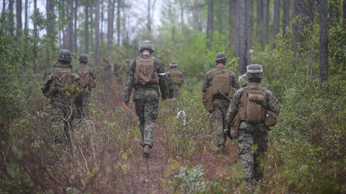 Marines with 2nd Battalion, 8th Marine Regiment patrol through the woods during a platoon attack training event at Marine Corps Base Camp Lejeune, N.C., April 12, 2016. The Marines were tasked to determine the best routes that allowed them to conceal their position and achieve fire superiority. 